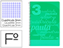 CUADERNO ESPIRAL LIDERPAPEL FOLIO PAUTAGUIA TAPA PLASTICO 80H 75GR CUADRO PAUTADO 3MM CON MARGEN COLOR VERDE